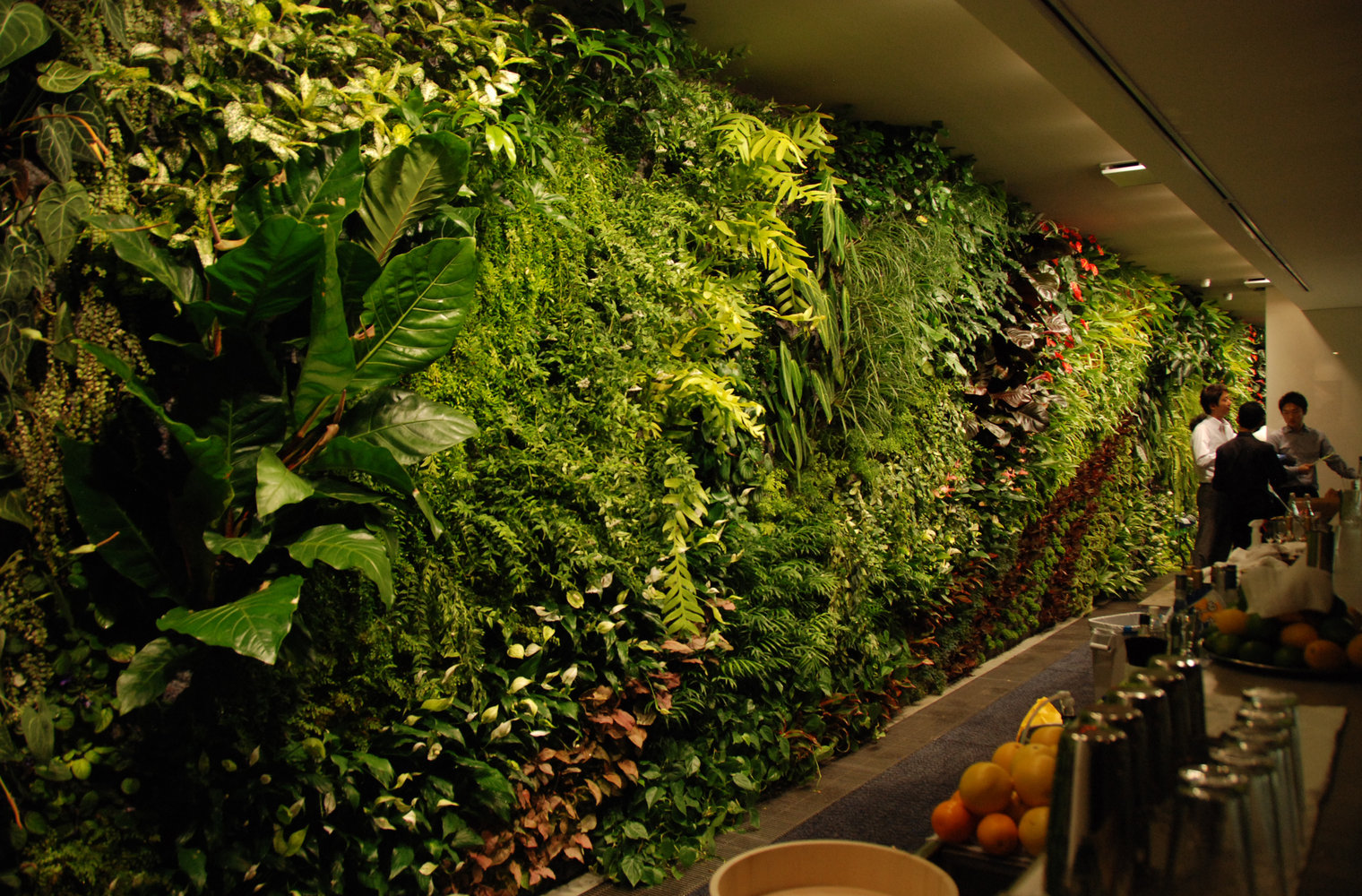 Đèn led trồng cây xanh tiểu cảnh trang trí trong nhà hoặc văn phòng